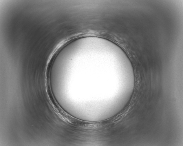 X0000066540102200603171105