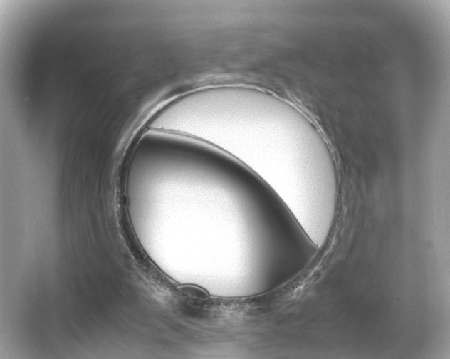 X0000066540103200603171105