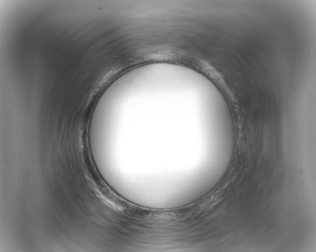 X0000066540106200603171105