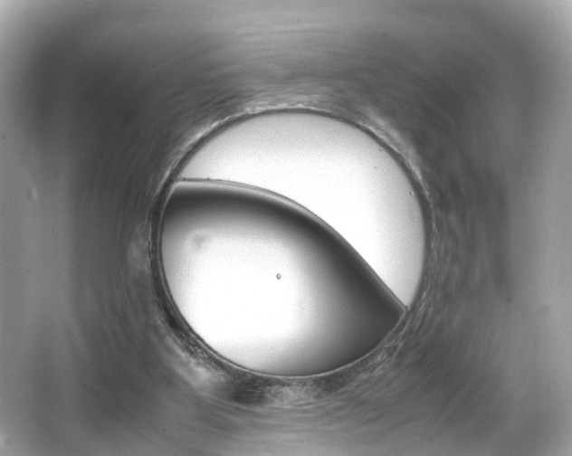 X0000066540107200603171105