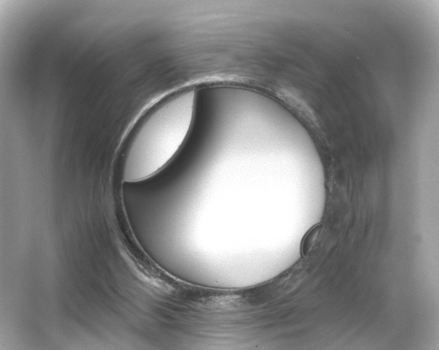 X0000066540108200603171105