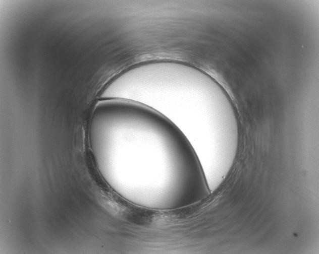 X0000066540109200603171105