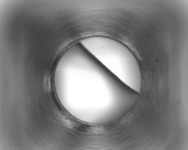 X0000066540110200603171105