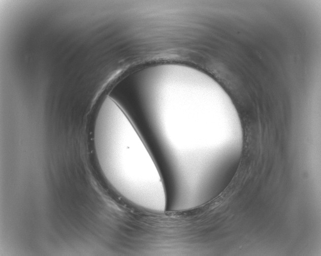 X0000066540112200603171105