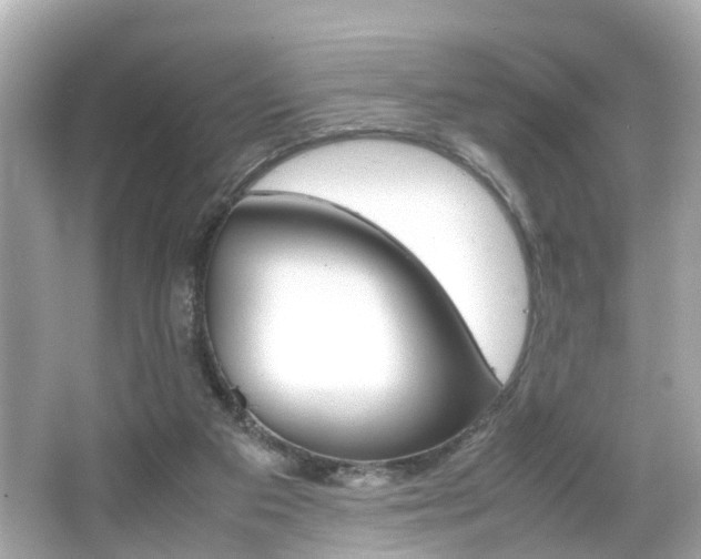 X0000066540113200603171105