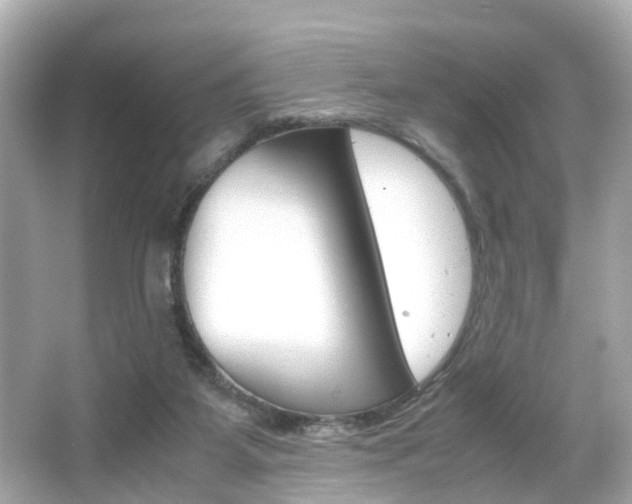 X0000066540115200603171105