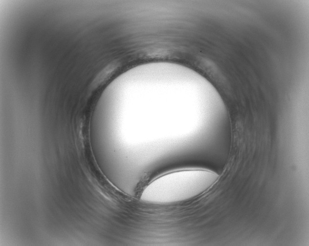 X0000066540116200603171105