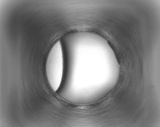 X0000066540117200603171105