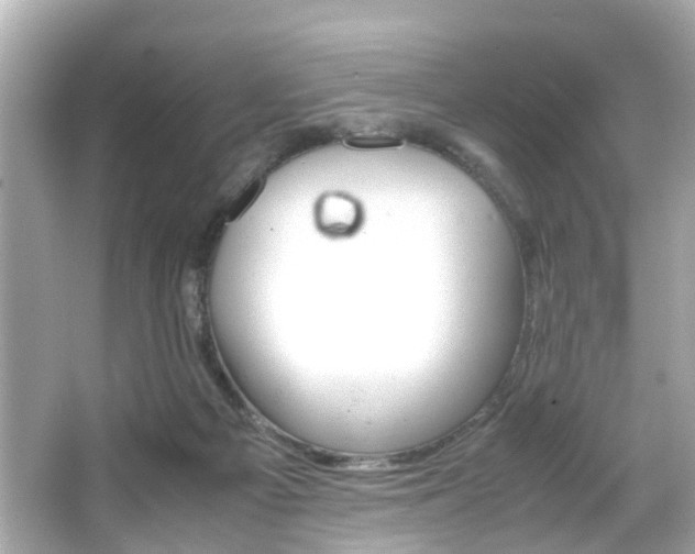 X0000066540121200603171105