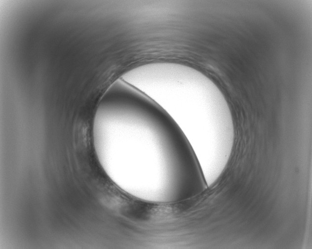 X0000066540123200603171105