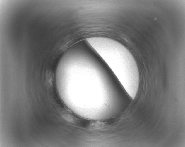 X0000066540125200603171105