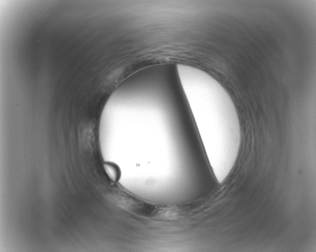 X0000066540127200603171105