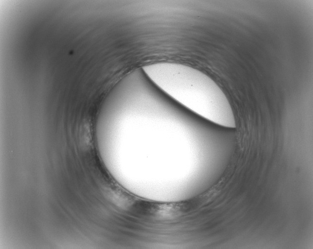 X0000066540130200603171105