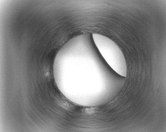 X0000066540134200603171105