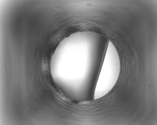 X0000066540137200603171105