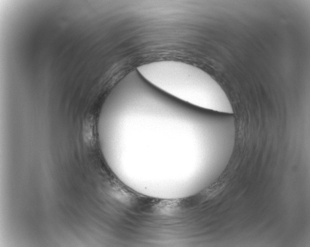 X0000066540138200603171105