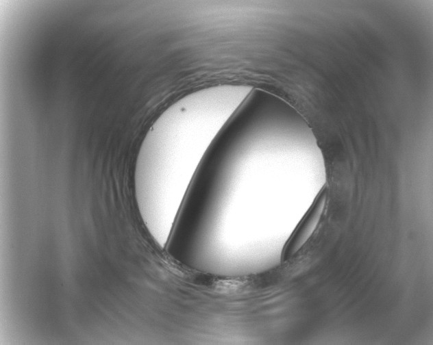 X0000066540139200603171105