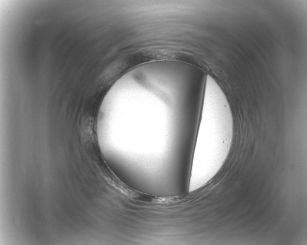 X0000066540141200603171105