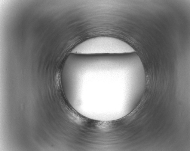 X0000066540142200603171105