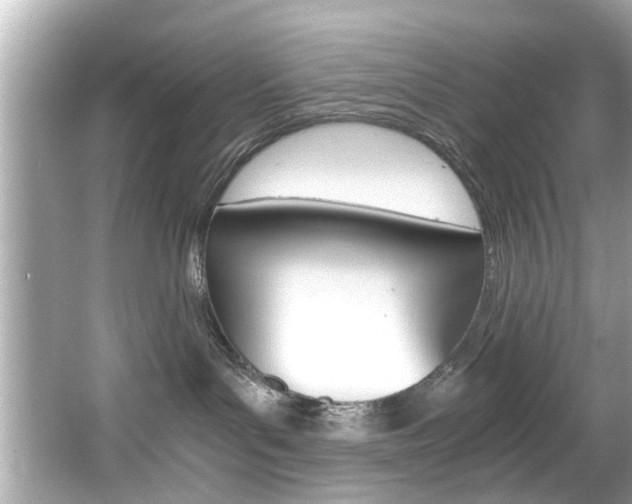 X0000066540143200603171105