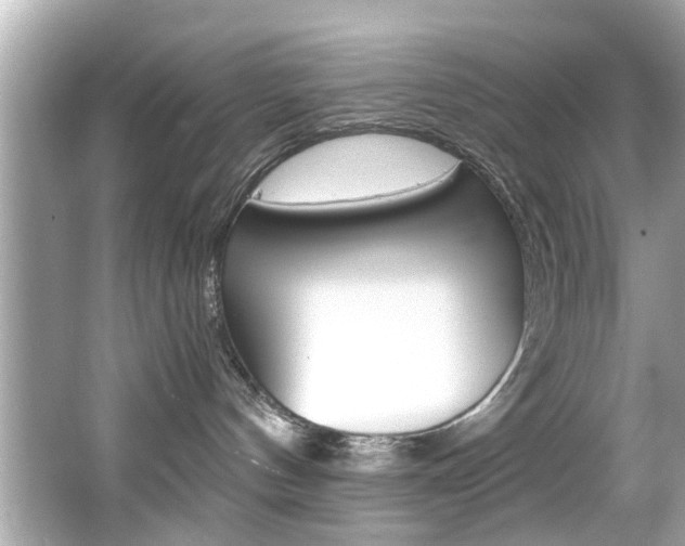 X0000066540144200603171105