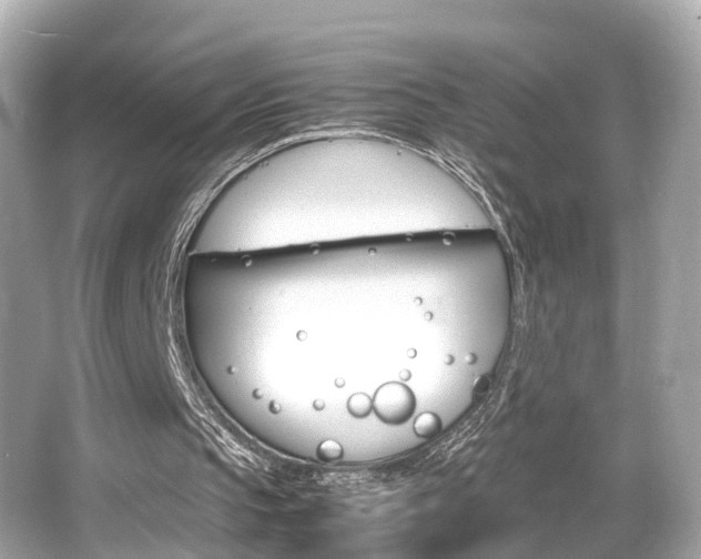 X0000066540145200603171104