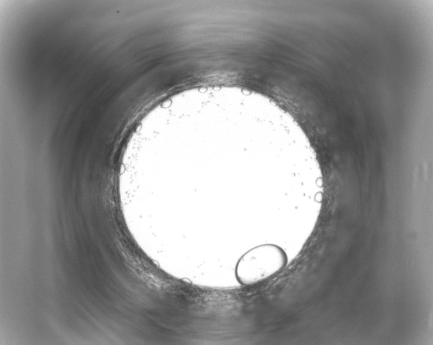 X0000066540146200603171104