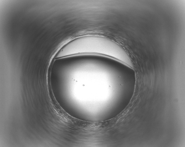 X0000066540148200603171104