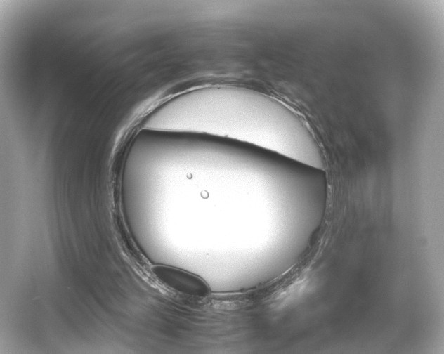 X0000066540149200603171104