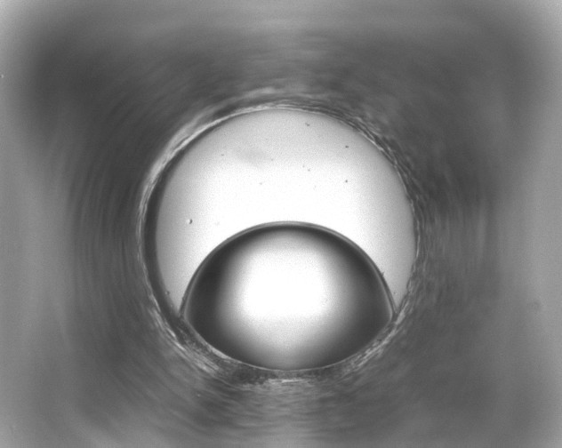 X0000066540150200603171104