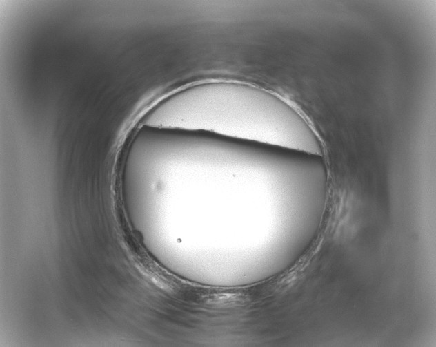 X0000066540151200603171104