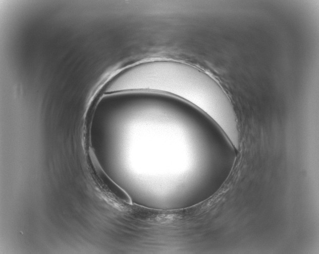 X0000066540152200603171104