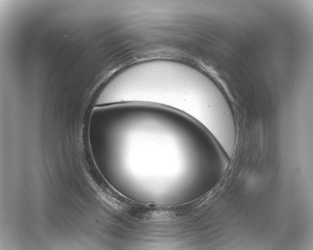 X0000066540154200603171104