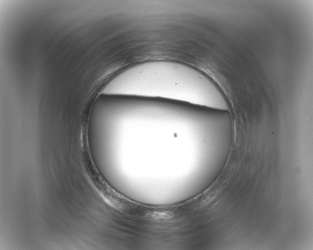 X0000066540157200603171104