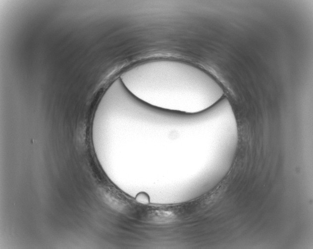 X0000066540159200603171104