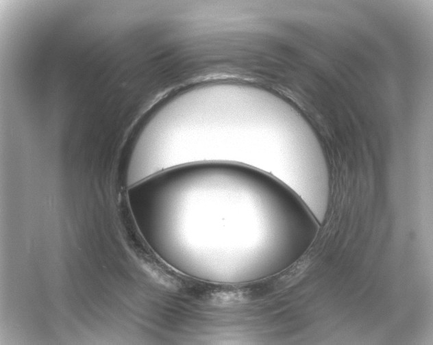 X0000066540160200603171104