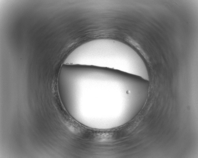 X0000066540161200603171104