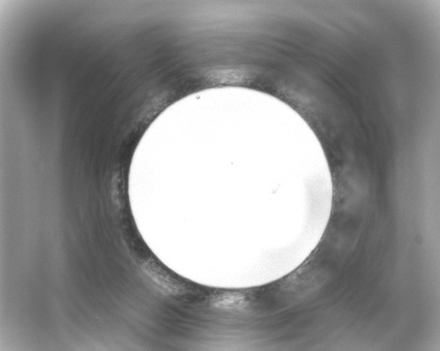 X0000066540162200603171104