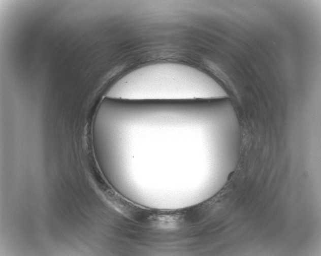 X0000066540163200603171104