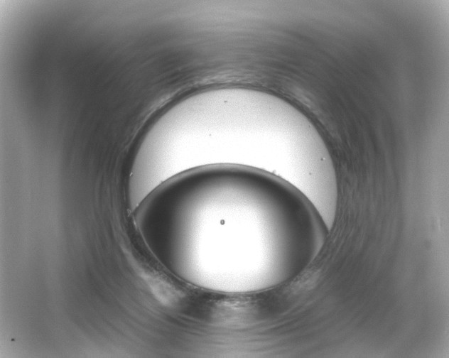 X0000066540164200603171104