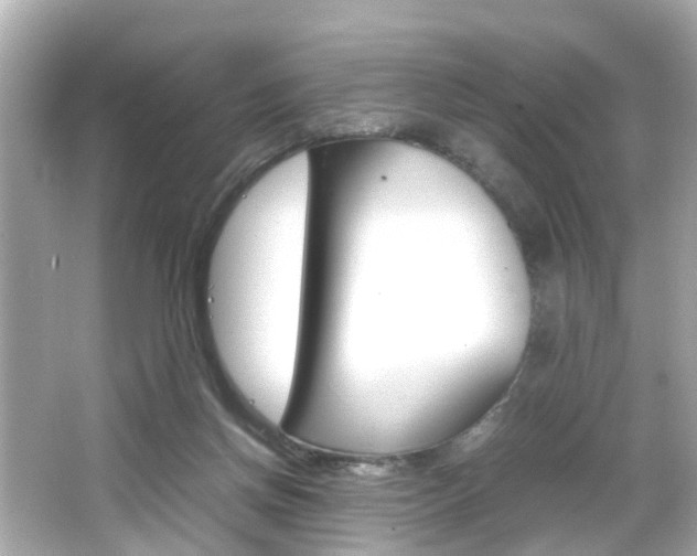 X0000066540166200603171104