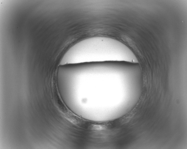 X0000066540167200603171104