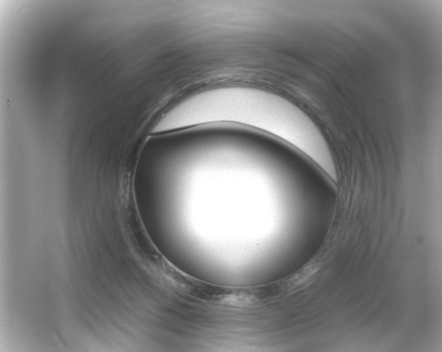 X0000066540168200603171104