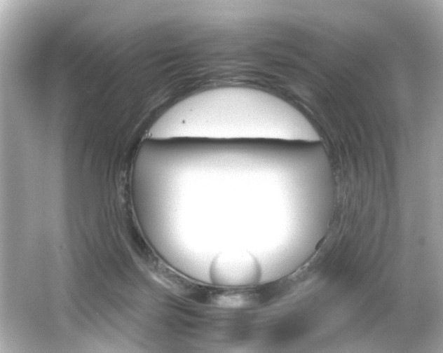 X0000066540171200603171104