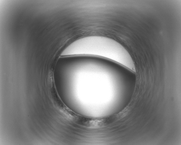 X0000066540172200603171104