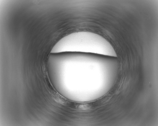 X0000066540173200603171104