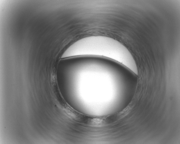 X0000066540176200603171104