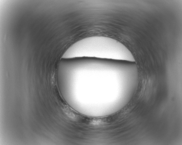 X0000066540177200603171104