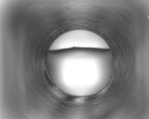 X0000066540178200603171105