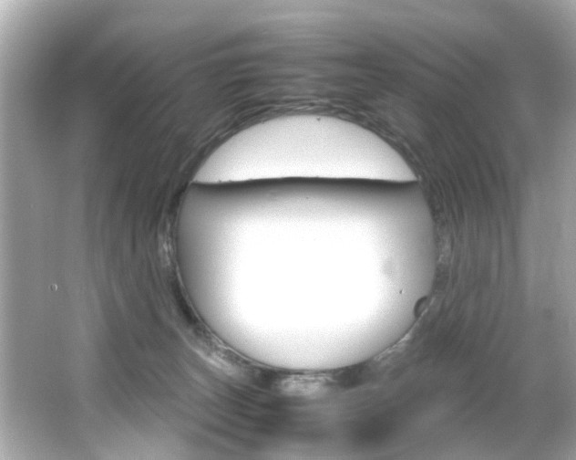 X0000066540179200603171105